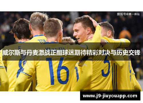 威尔斯与丹麦激战正酣球迷期待精彩对决与历史交锋